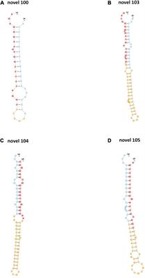 Deep Sequencing of Plasma Exosomal microRNA Level in Psoriasis Vulgaris Patients